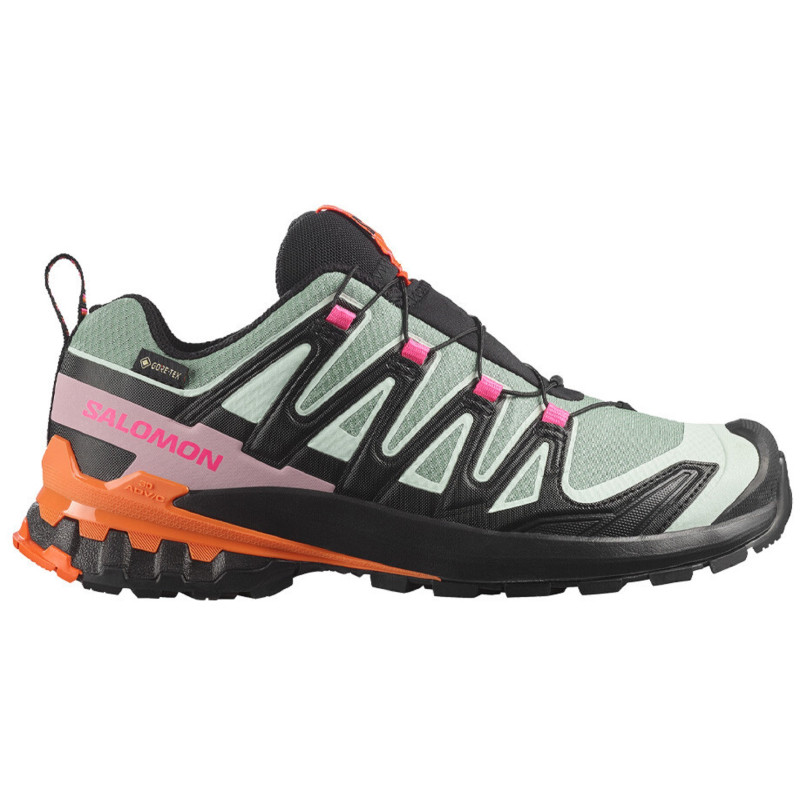 Zapatilla Salomon XA PRO 3D V9 GTX W Verde/Negro/Fucsia