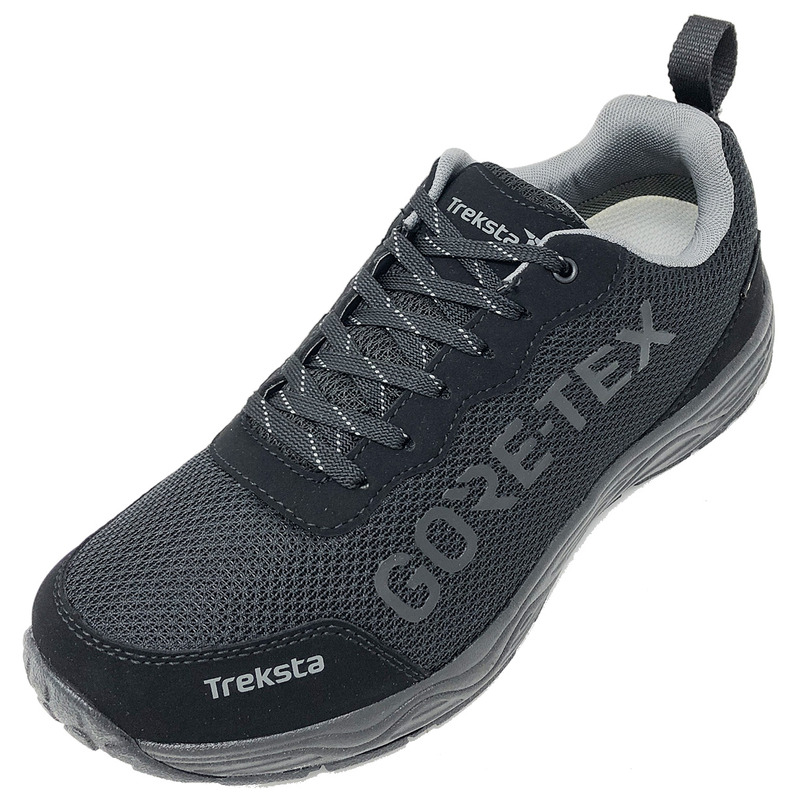Zapatilla Treksta Olympus Low GTX Negro