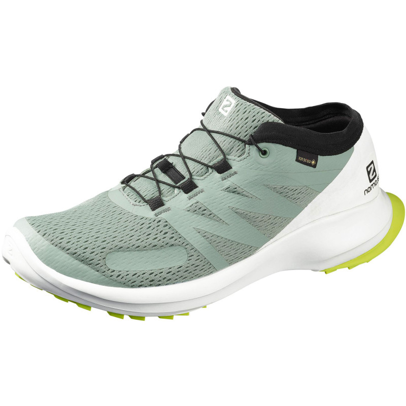 Zapatillas Salomon Sense Flow GTX Verde