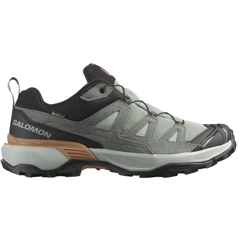 Zapatillas Salomon X Ultra 360 LTR GTX Gris