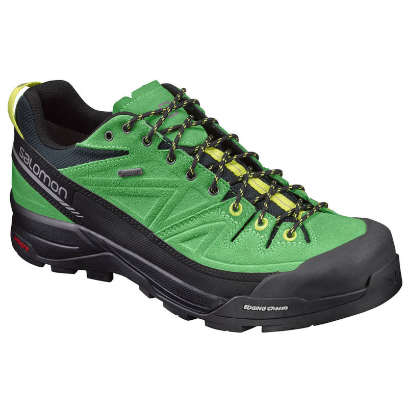 Zapato Salomon X Alp LTR GTX Verde/Negro