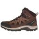 Botas Salomon Authentic LTR GTX Marrón