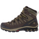 Botas Salomon Quest 4D 3 GTX Kaki/Negro