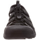 Sandalia Keen Newport Cuero Negro