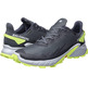 Zapatilla Salomon Alphacross 4 GTX Gris/Lima