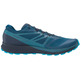 Zapatillas Salomon Sense Ride 2 Gtx azul/negro