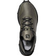 Zapatillas Salomon Alphacross GTX Gris/Kaki