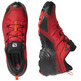 Zapatillas Salomon Cross Hike GTX Rojo