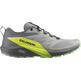 Zapatillas Salomon Sense Ride 5 Gris/Lima