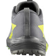 Zapatillas Salomon Sense Ride 5 Gris/Lima