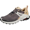 Zapatillas Salomon X Raise Gris 