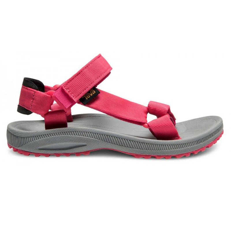 teva w winsted