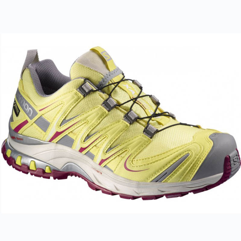 salomon xa pro 3d gtx w