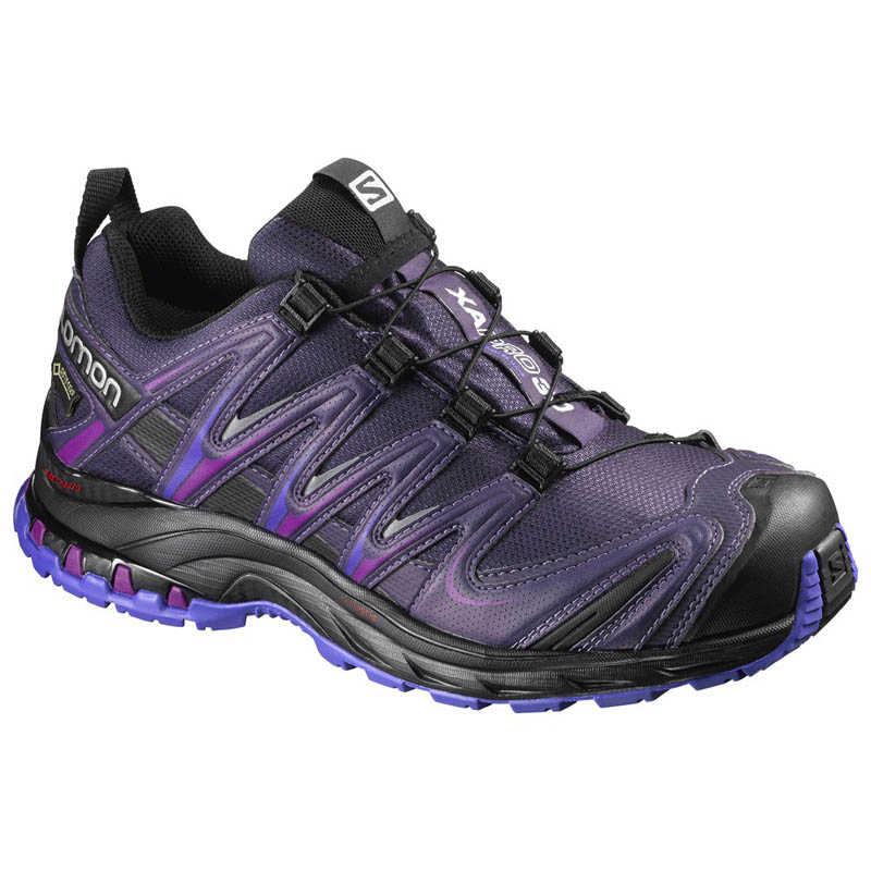 salomon xa pro 3d gtx w