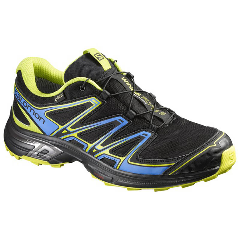 salomon flyte wings 2