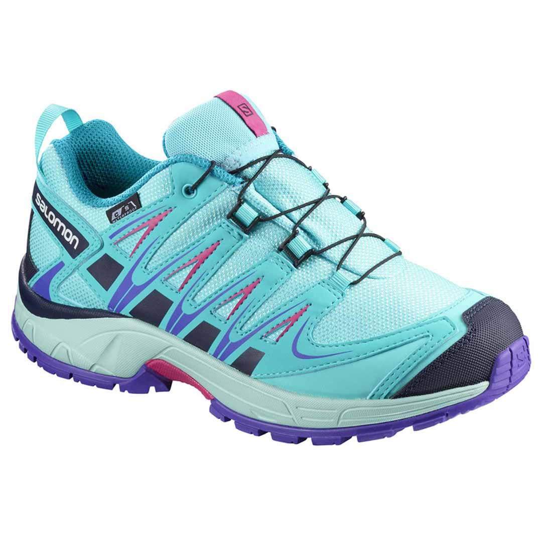 salomon xa pro 3d cs wp