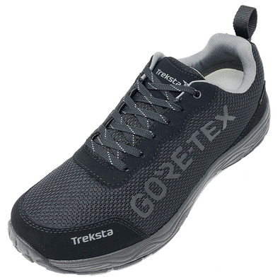 Zapatilla Treksta Olympus Low GTX Negro