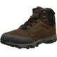 Botas Merrell Coldpack Ice + Mid Polar WP Marrón