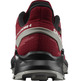 Zapatilla Salomon Alphacross 4 GTX Rojo