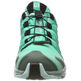 Zapatillas Salomon Xa Pro 3D GTX W Verde